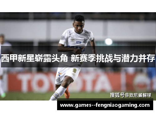 西甲新星崭露头角 新赛季挑战与潜力并存