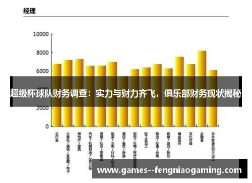 超级杯球队财务调查:实力与财力齐飞,俱乐部财务现状揭秘 超级杯球队财务调查:实力与财力齐飞,俱乐部财务现状揭秘