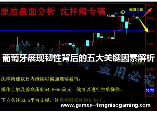 葡萄牙展现韧性背后的五大关键因素解析
