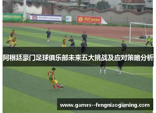 阿根廷豪门足球俱乐部未来五大挑战及应对策略分析