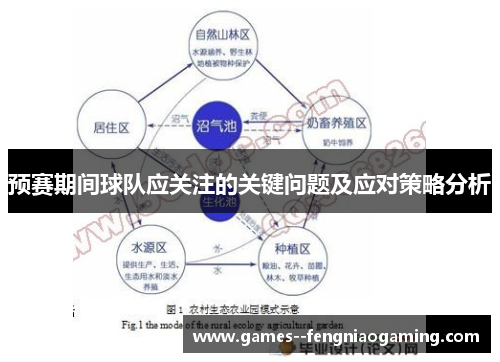 预赛期间球队应关注的关键问题及应对策略分析