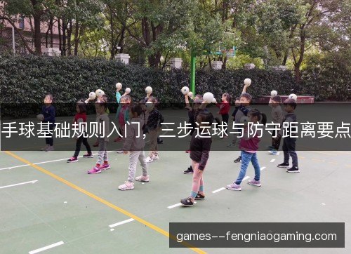手球基础规则入门,三步运球与防守距离要点 手球基础规则入门,三步运球与防守距离要点